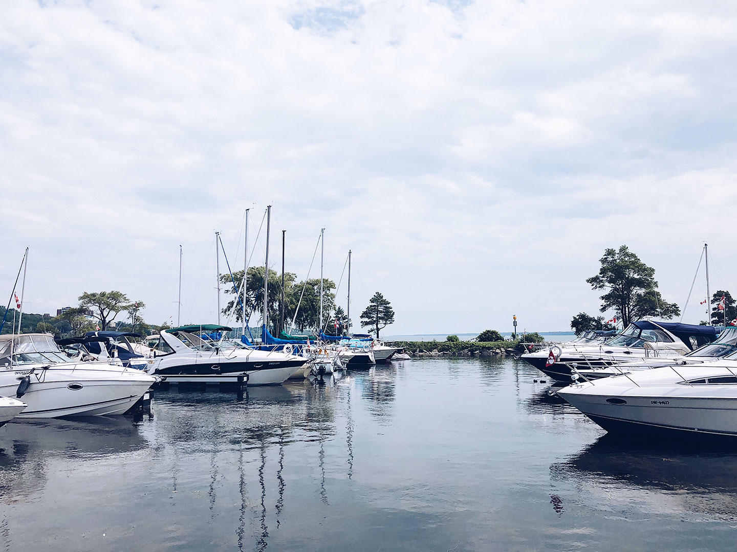 Several yachts and sailboats docked in a calm marina on a partly cloudy day, with trees and open water in the background.