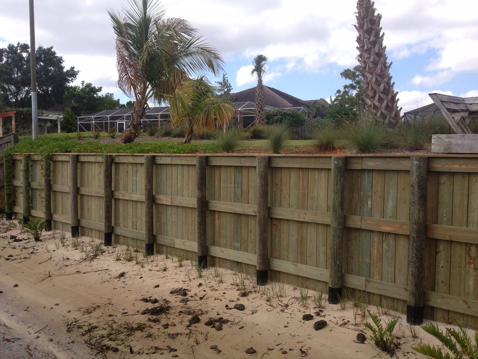 Wooden seawall along sandy shoreline with palm trees and coastal vegetation above.
